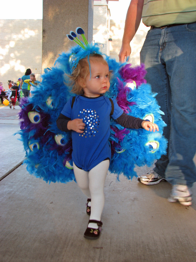 Peacock Halloween Costumes DIY
 DIY Peacock Costume