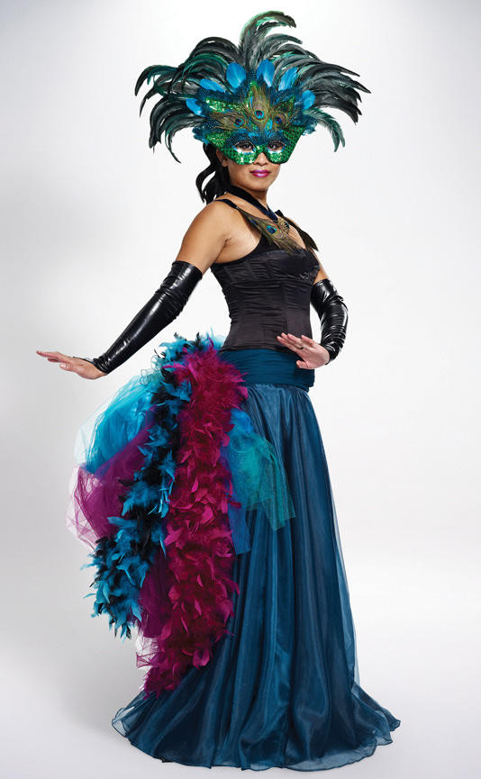 Peacock Halloween Costumes DIY
 Peacock Costume s Halloween Costumes