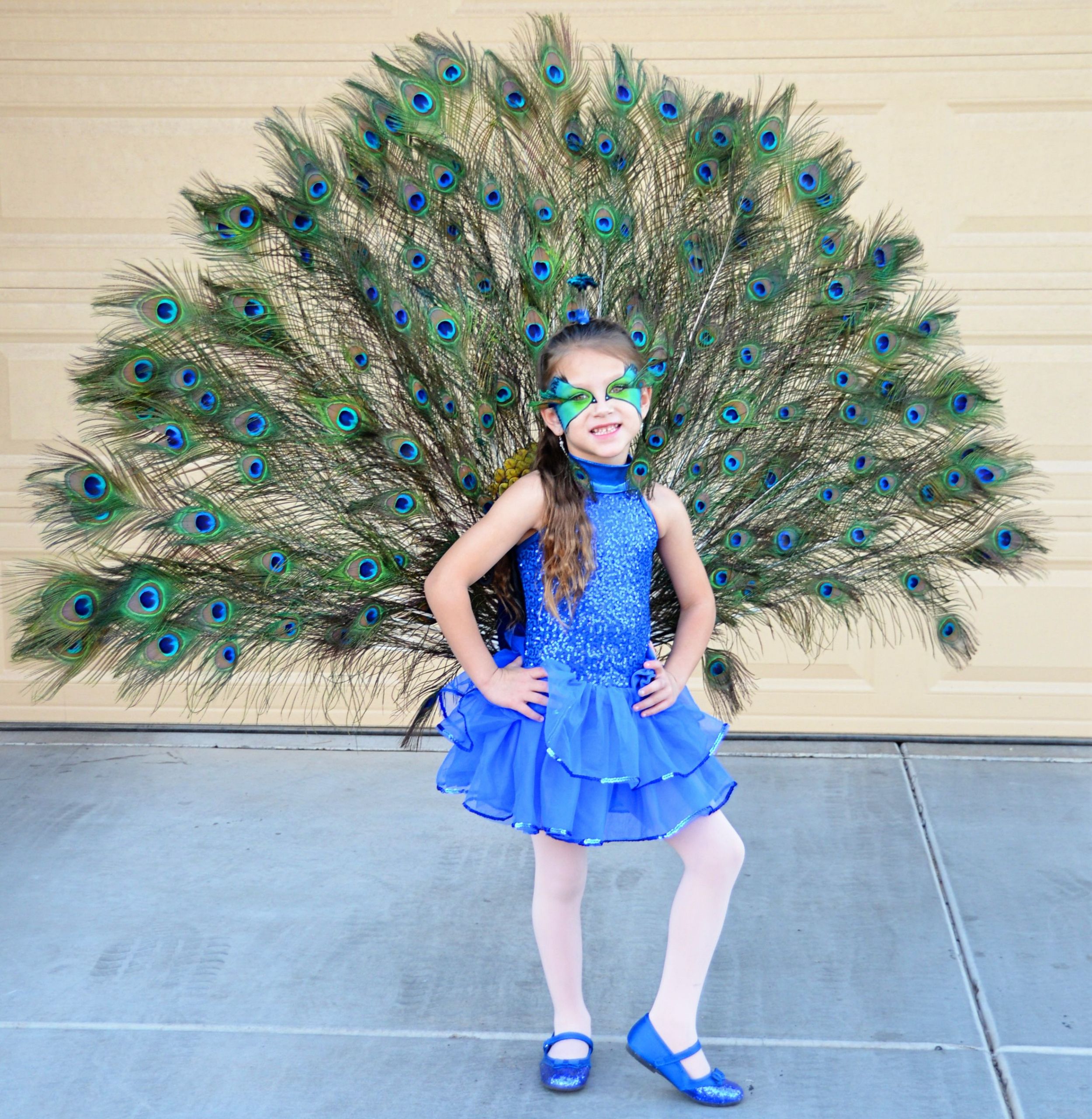 Peacock Halloween Costumes DIY
 Pretty Peacock Instructions to make your own are here