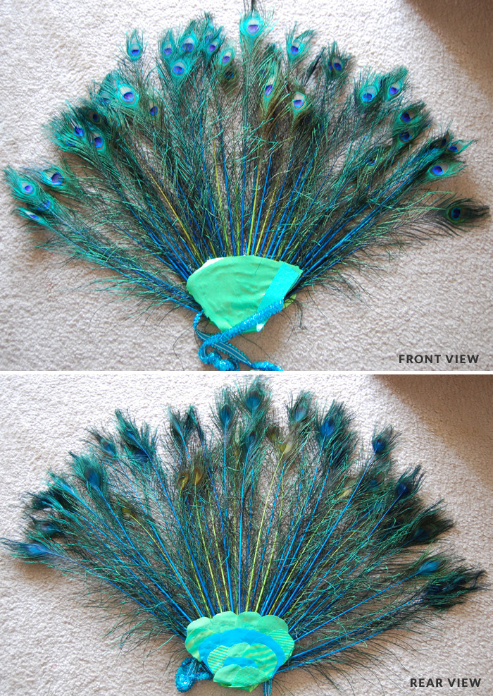 Peacock Halloween Costumes DIY
 Handmade Awesomeness Check Out My DIY Peacock Costume