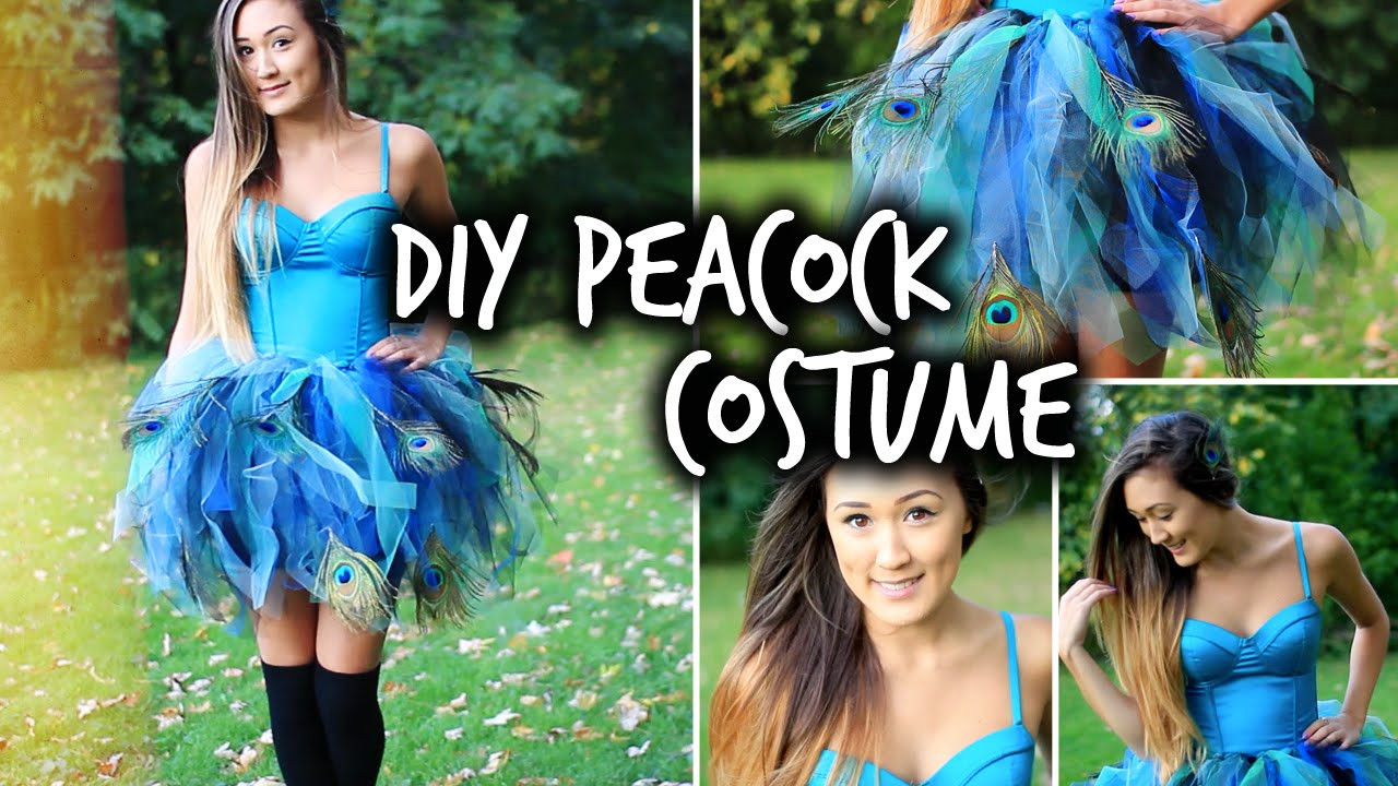 Peacock Halloween Costumes DIY
 Easy DIY Peacock Halloween Costume