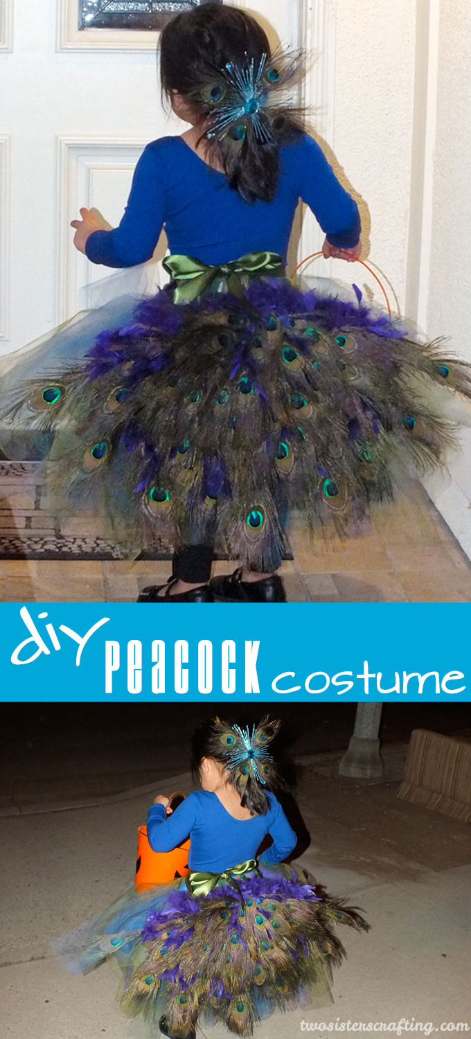 Peacock Halloween Costumes DIY
 DIY Peacock Costume Two Sisters