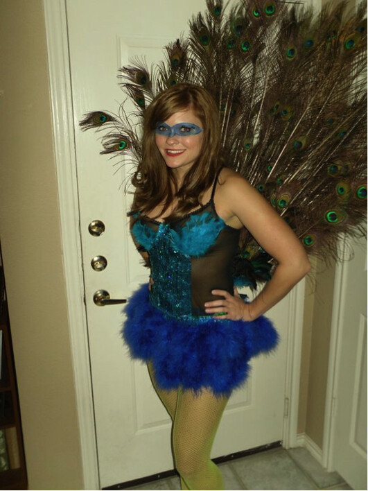 Peacock Halloween Costumes DIY
 DIY Halloween Peacock Costume