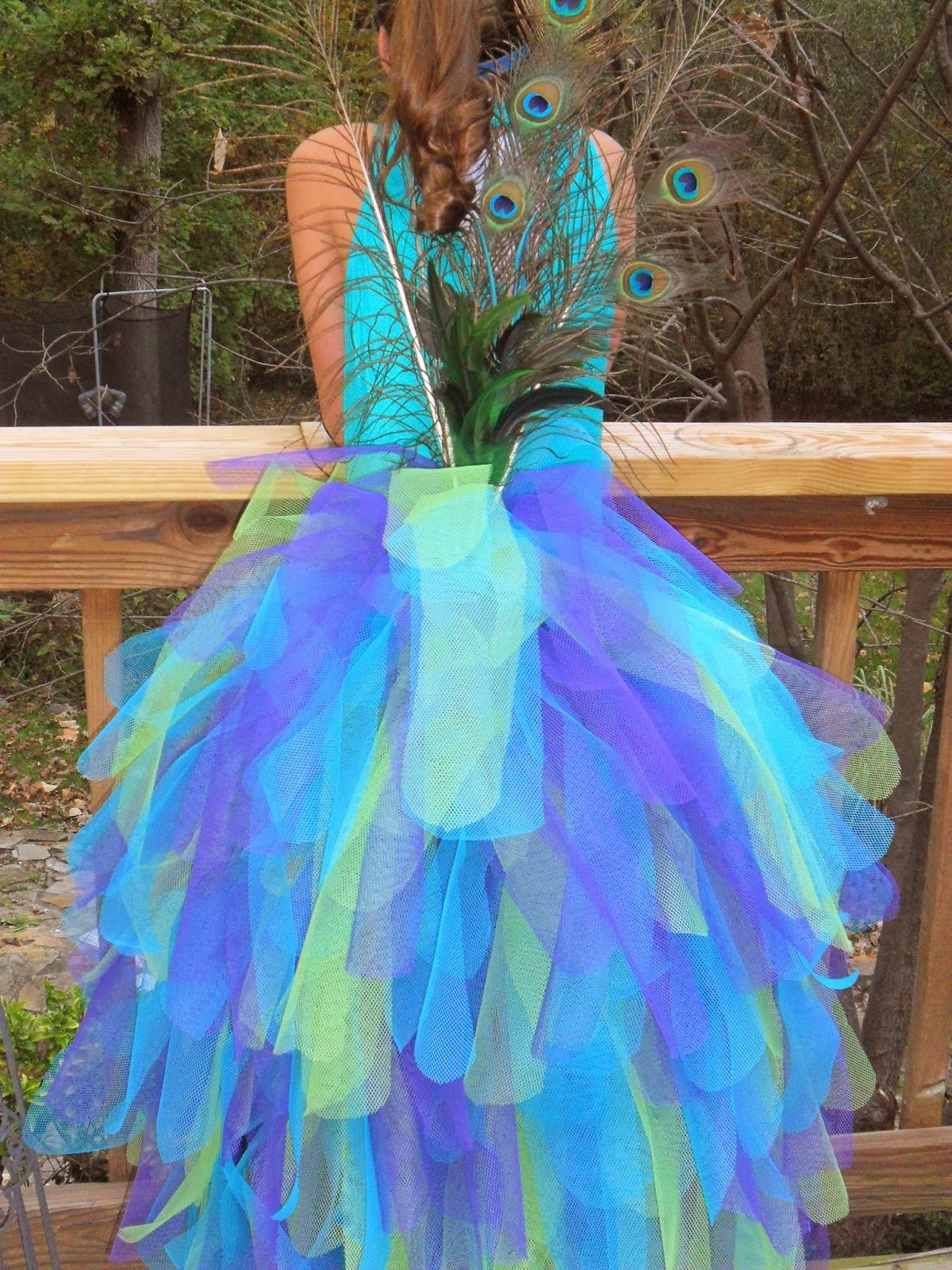 Peacock Halloween Costumes DIY
 A peacock costume a voodoo doll costume and a whole lotta