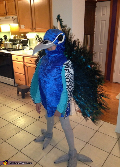 Peacock Halloween Costumes DIY
 Peacock DIY Halloween Costume