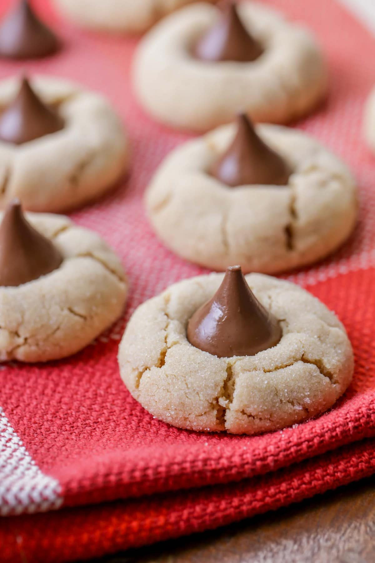 Peanut Butter Cookies With Kiss
 FAVORITE Peanut Butter Kiss Cookies