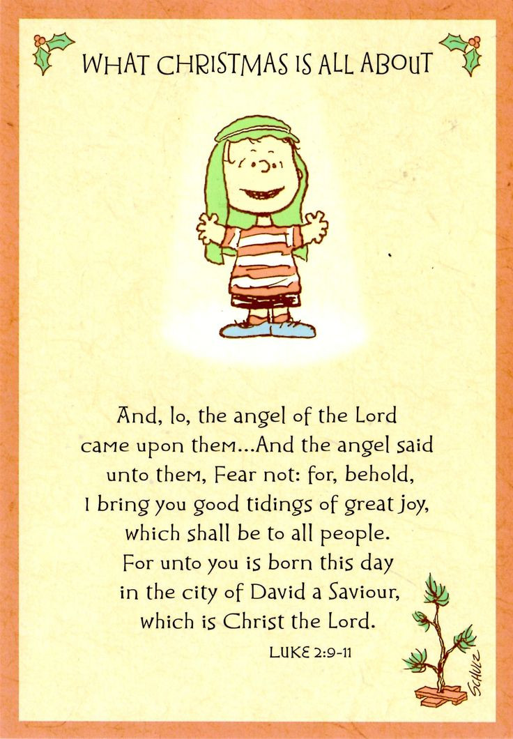 Peanuts Christmas Quotes
 A Charlie Brown Christmas Quotes