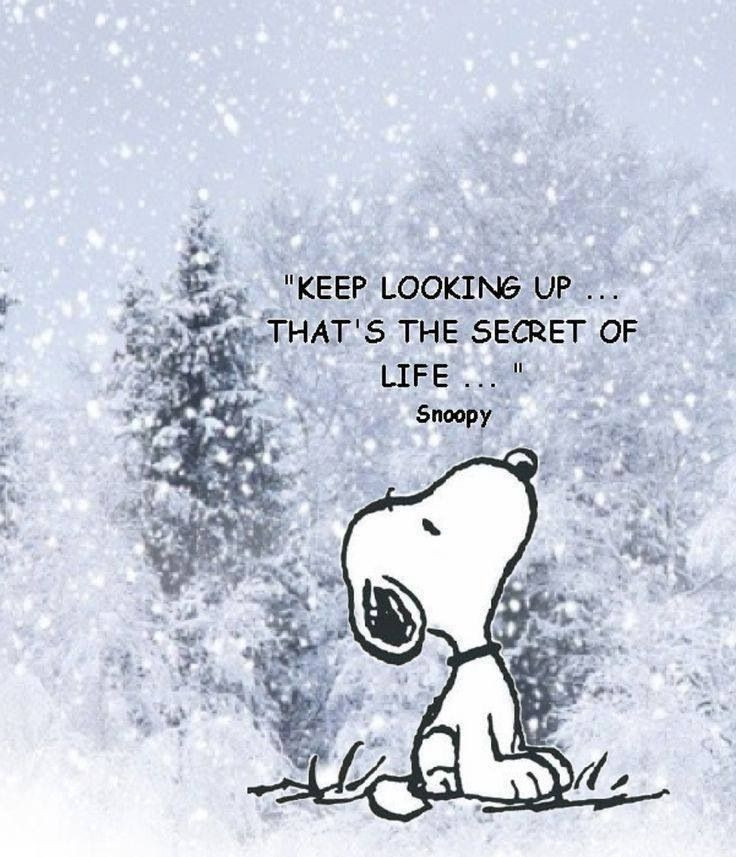 Peanuts Christmas Quotes
 Peanuts Christmas Quotes QuotesGram