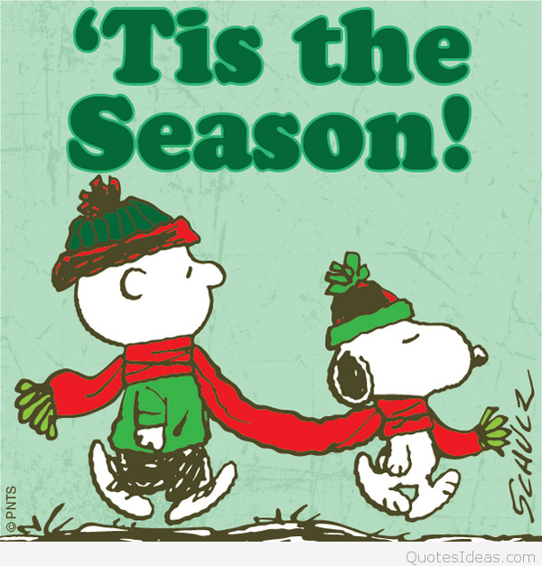 Peanuts Christmas Quotes
 Wonderful Merry Christmas for my brothers quotes