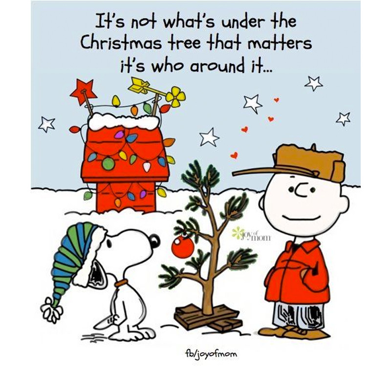 Peanuts Christmas Quotes
 Merry Christmas & a fantastic 2016