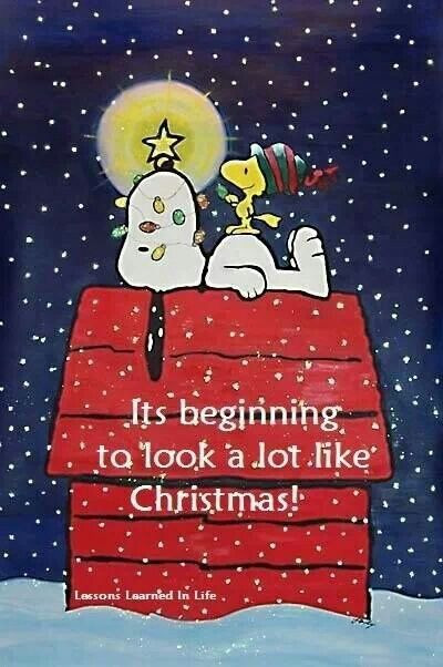 Peanuts Christmas Quotes
 Peanuts Christmas Quotes QuotesGram