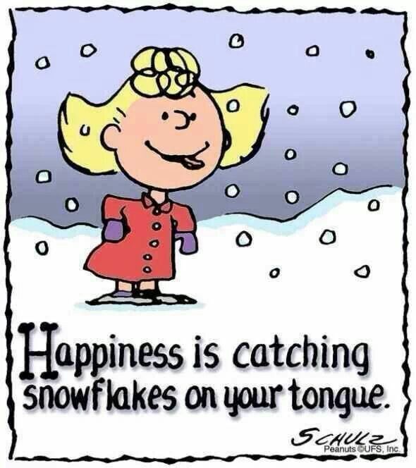 Peanuts Christmas Quotes
 Sally Brown Peanuts Quotes QuotesGram