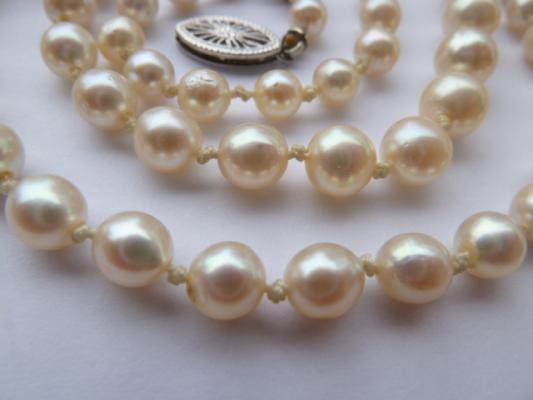 Pearl Necklace Value
 My Great Grandmother s Pearl Necklace Real Fake