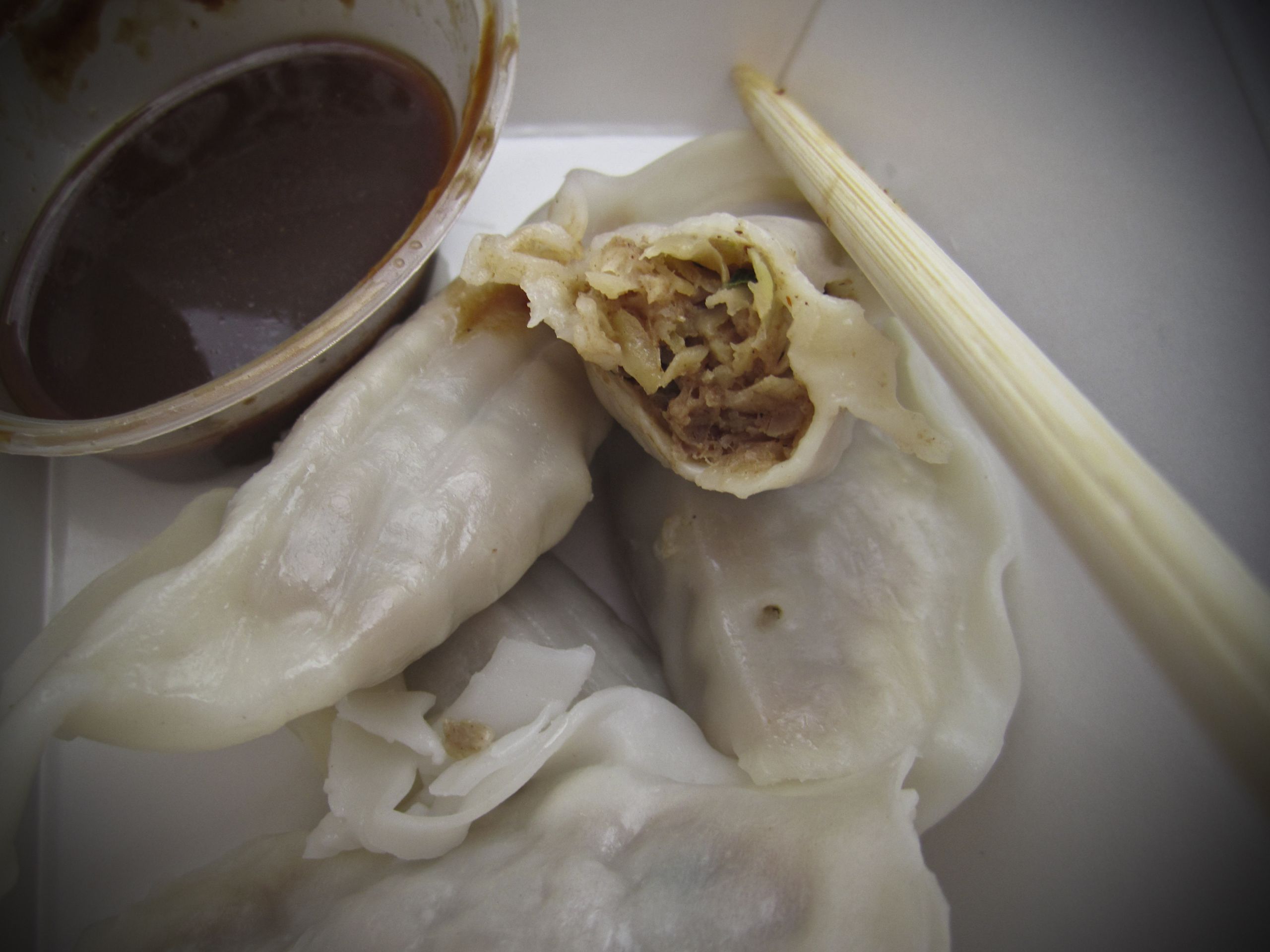 Peking Duck And Dumplings
 In and Around The Urban Fork