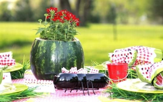 Picnic Graduation Party Ideas
 Image result for watermelon party ideas