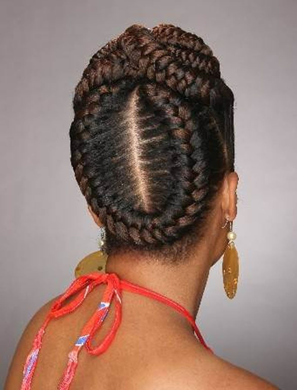Pictures Of Updo Cornrow Hairstyles
 20 Best African American Braided Hairstyles for Women 2020