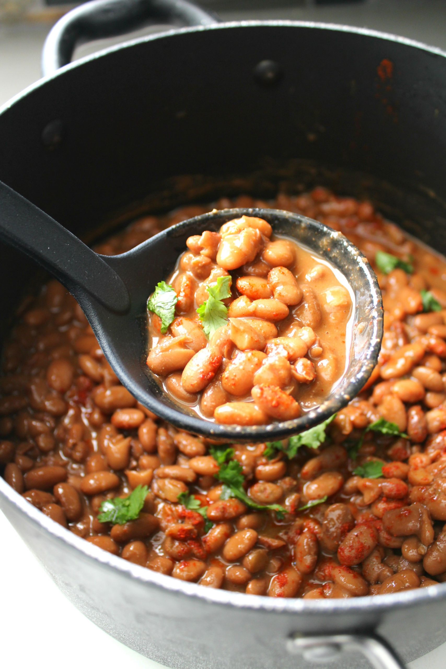 Pinto Beans Vegetarian Recipes
 Mexican Pinto Beans This Savory Vegan