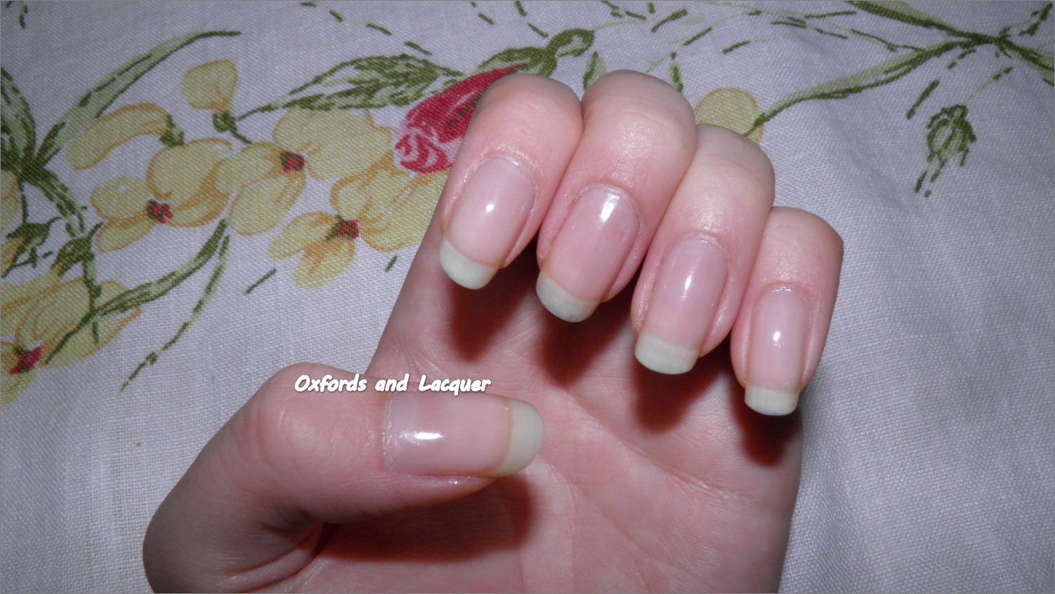Plain Nail Colors
 My nails…sans polish – Oxfords and Lacquer
