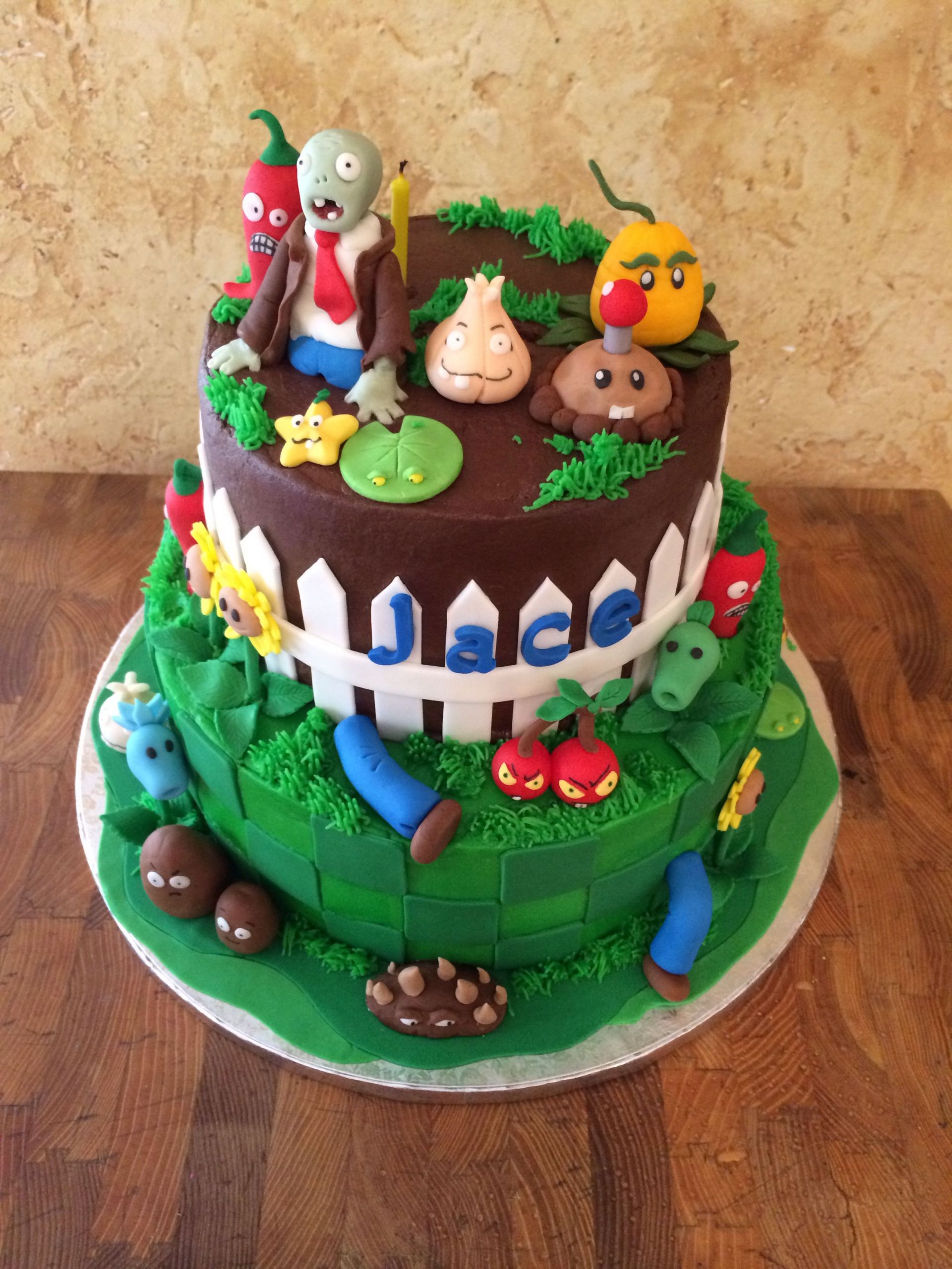 Plants Vs Zombies Birthday Cake
 Plants vs zombies 6th birthday cake party ideas