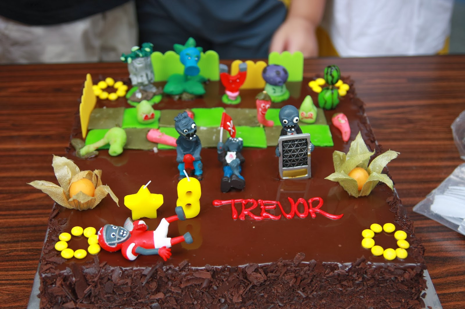 Plants Vs Zombies Birthday Cake
 val s passion cakes art wines and more Homemade Plants