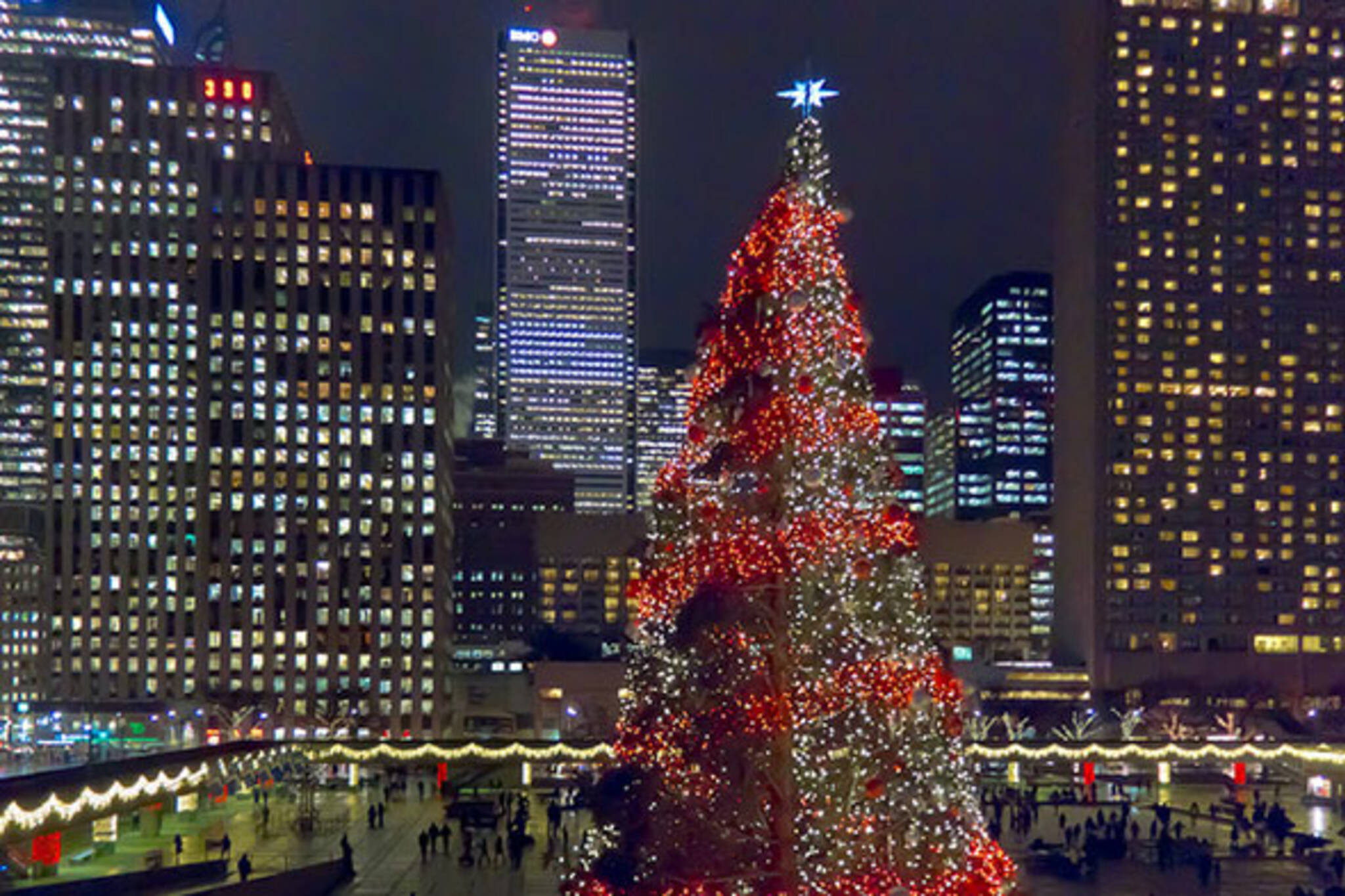Pool City Christmas Trees
 Toronto is about to Canada s biggest Christmas tree