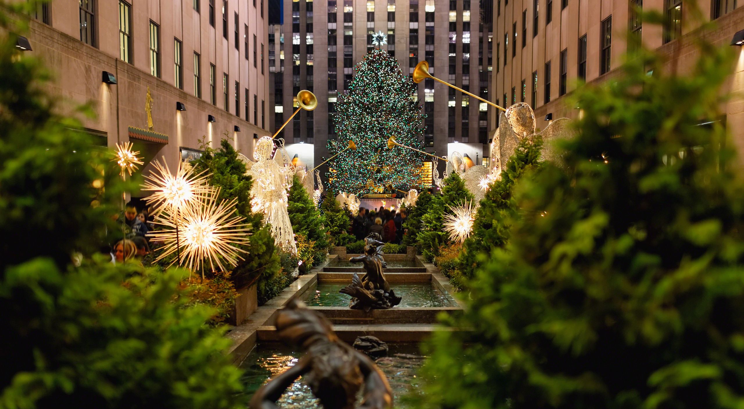 Pool City Christmas Trees
 A Brief History of the Christmas Tree in Rockefeller Center