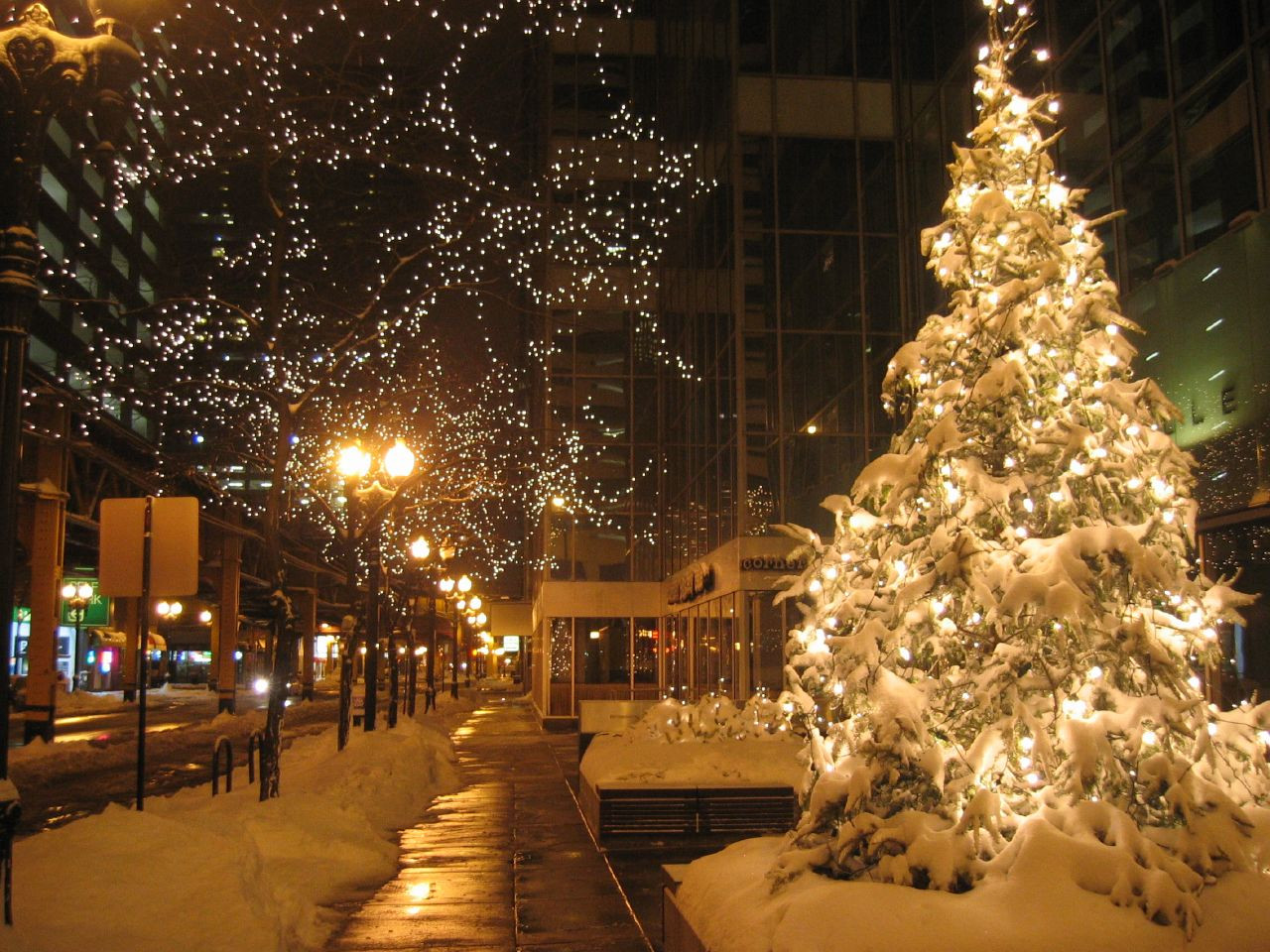 Pool City Christmas Trees
 The 10 Most Festive Destinations To Celebrate Christmas In