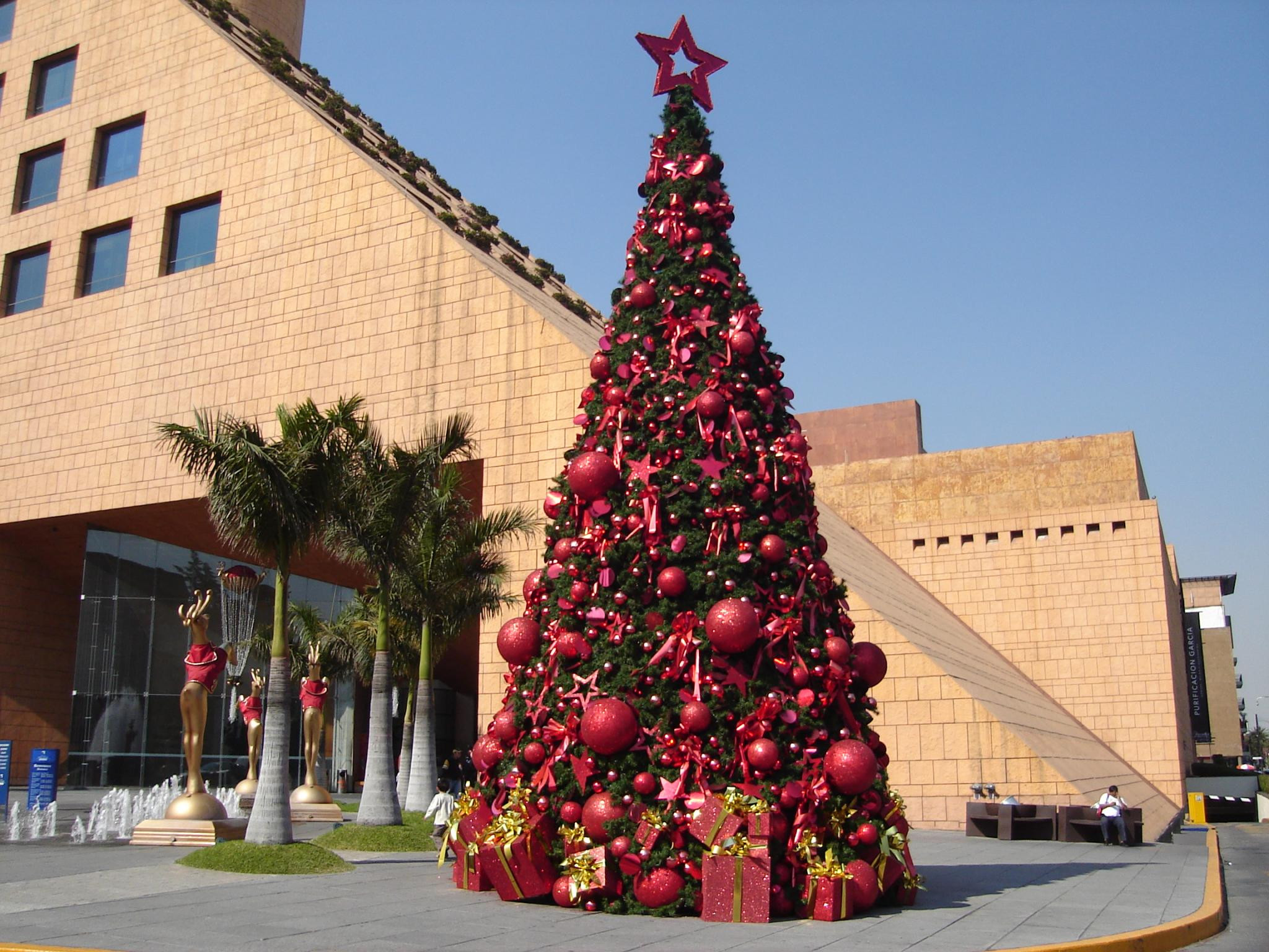 Pool City Christmas Trees
 The 10 Best Boutiques In Mexico City For Christmas Shopping
