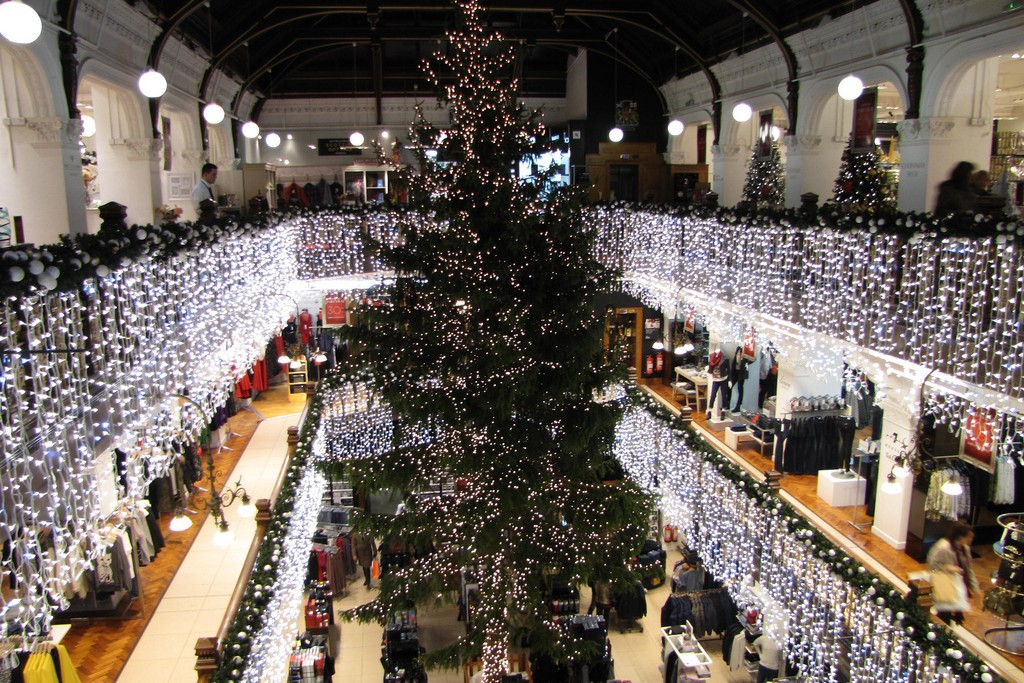 Pool City Christmas Trees
 10 Reasons To Visit Edinburgh During The Christmas Holidays