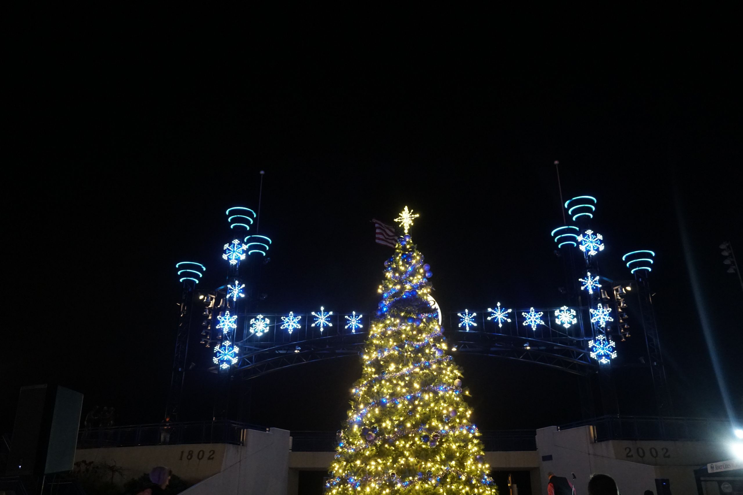 Pool City Christmas Trees
 Mayor s Reception & Christmas Tree Lighting Ceremony