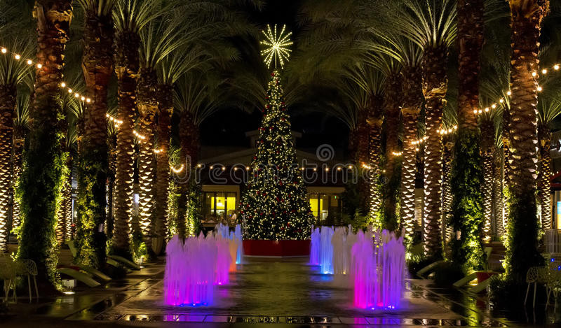 Pool City Christmas Trees
 Arizona Shopping Mall Christmas Tree And Lighted Palm