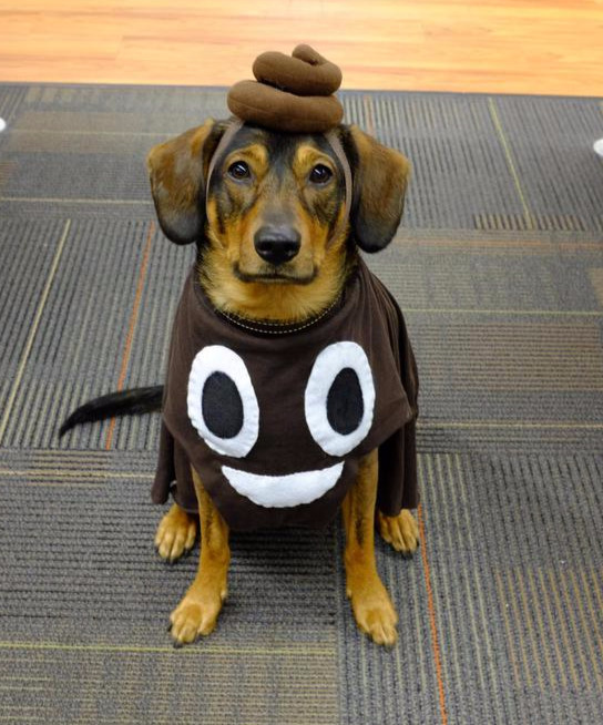 Poop Emoji Costume DIY
 Best Halloween costume ideas kids toddlers babies infants