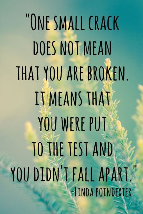 Positive Quotes For Students
 Seeing through the cracks