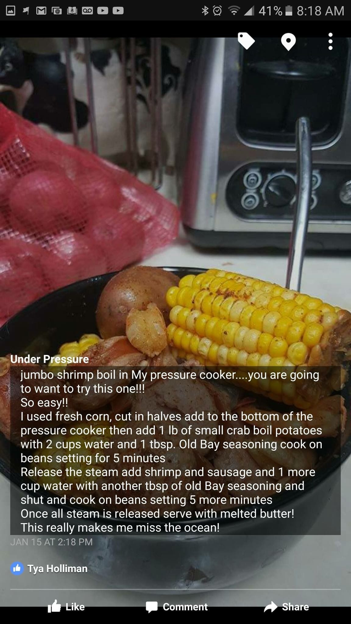 Power Pressure Cooker Xl Fish Recipes
 Shrimp boil