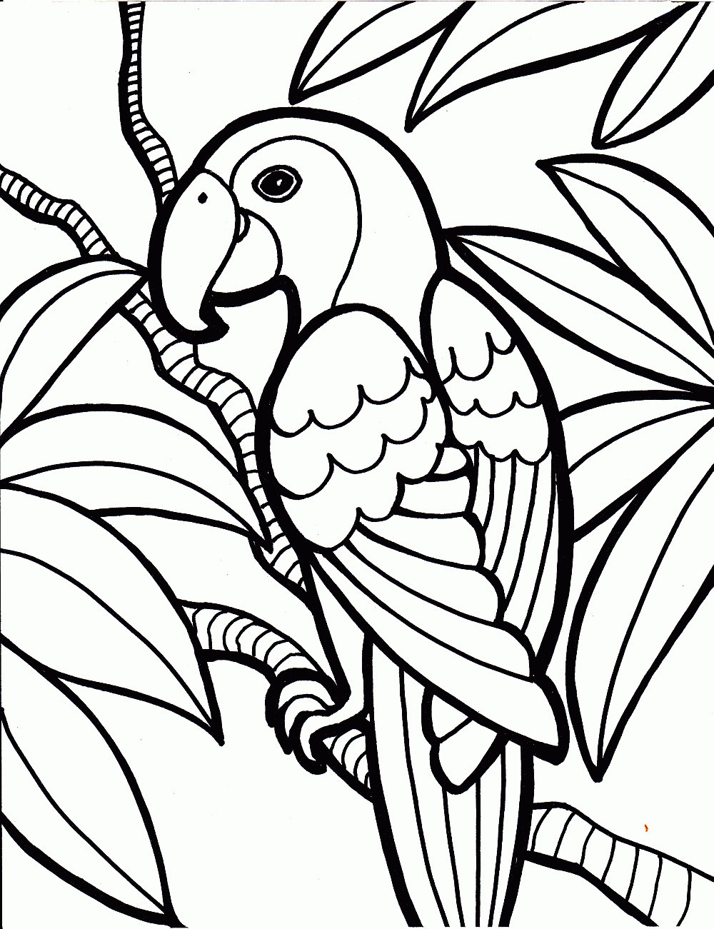 Printable Coloring Pages For Adults
 coloring pages