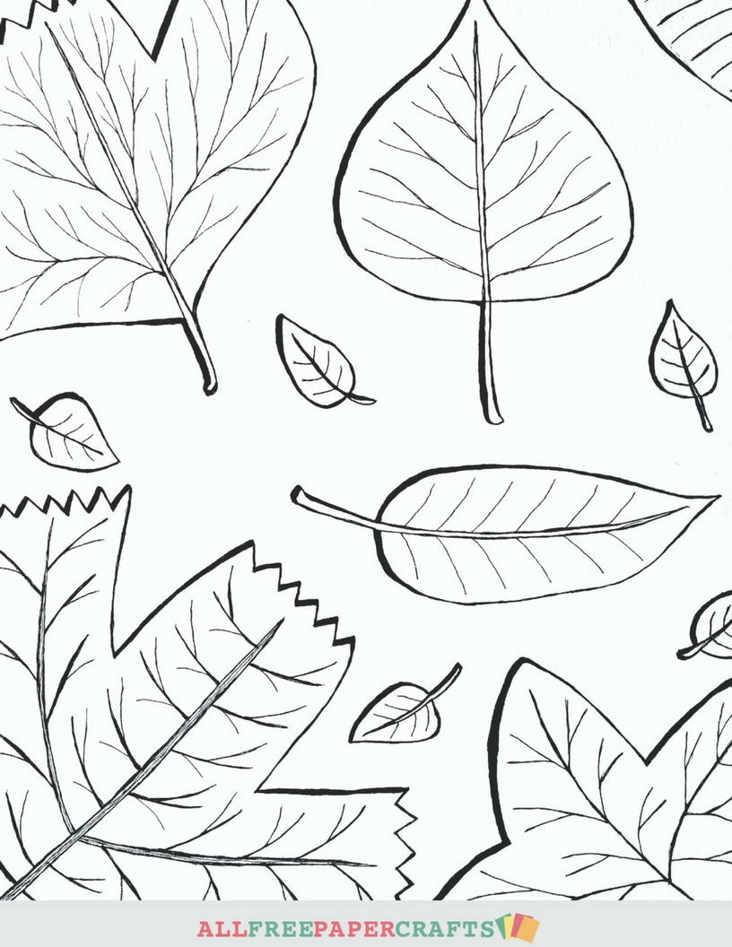 Printable Fall Coloring Pages
 Cascading Fall Leaves Printable Coloring Pages