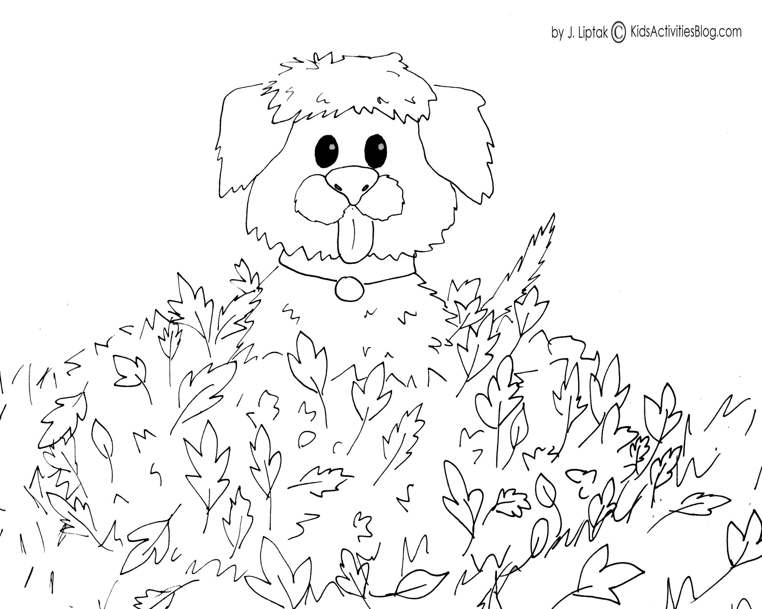 Printable Fall Coloring Pages
 4 FREE PRINTABLE FALL COLORING PAGES Kids Activities