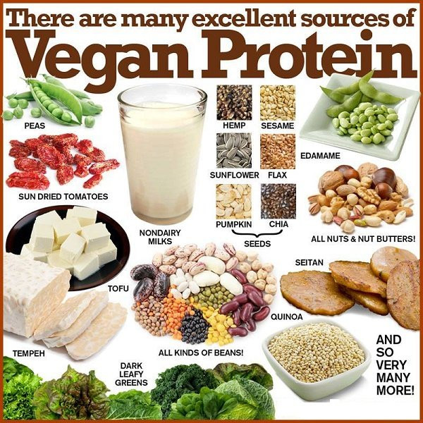 Protein Options For Vegetarian
 Vegan Protein Foods You Should Be Eating More ten Fitneass