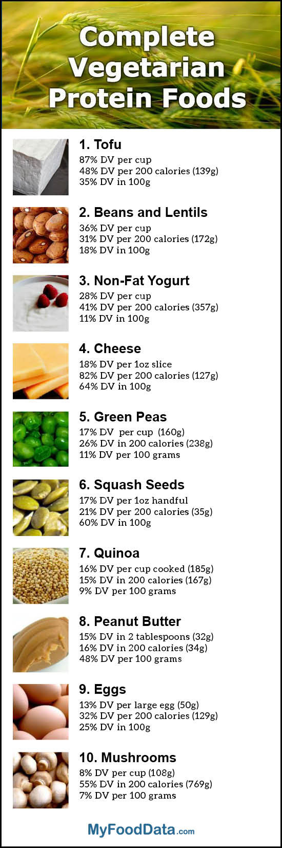Protein Options For Vegetarian
 Top 10 plete Ve arian Protein Foods with All the