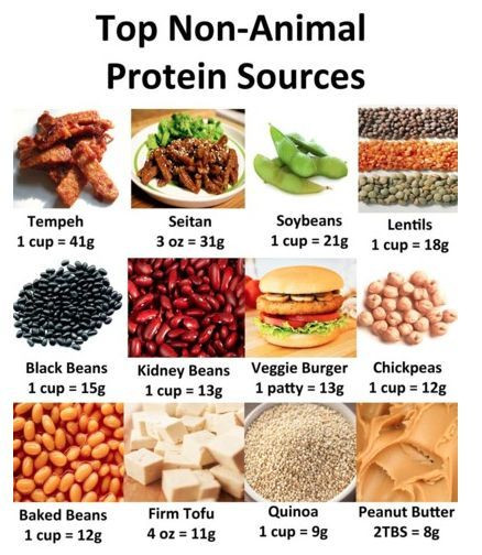 Protein Options For Vegetarian
 Vegan Protein Options