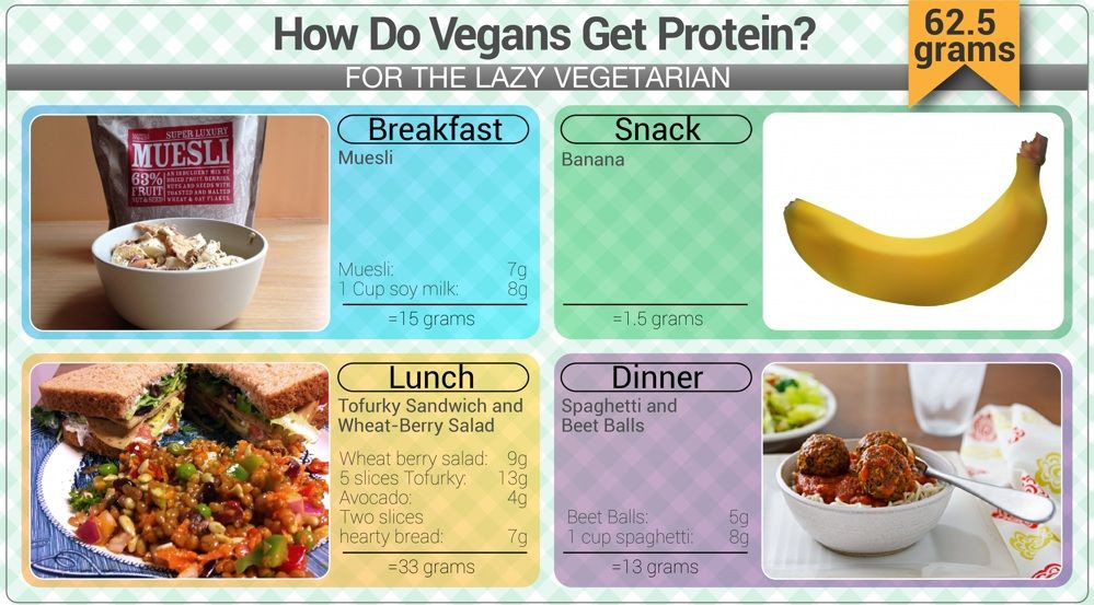 Protein Options For Vegetarian
 How Do Vegans Get Protein a visual guide