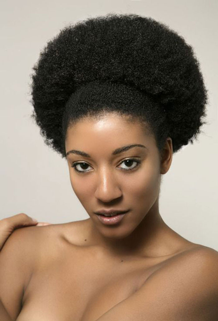 Puff Hairstyles For Natural Hair
 It s Vera vs Her Natural Hair The Holiday Hairstyle