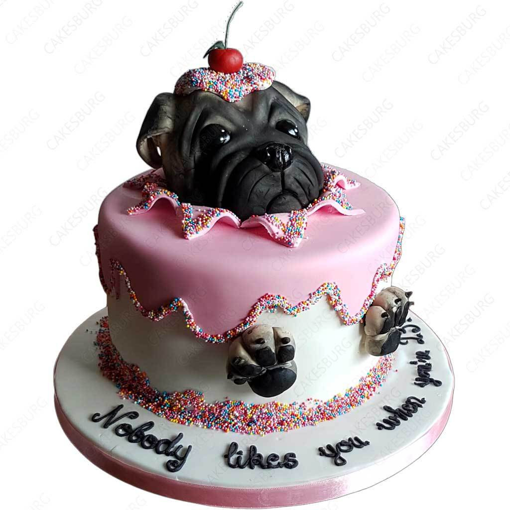 Pug Birthday Cake
 Pug Cake – CAKESBURG