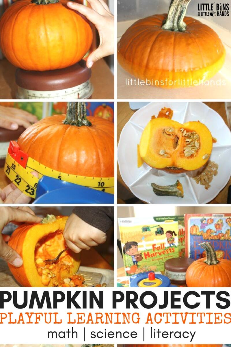 Pumpkin Craft Ideas Preschool
 Pumpkin Activities and Learning Ideas for Fall