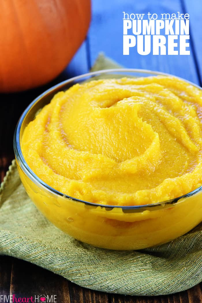 Pumpkin Puree Recipes Healthy
 EASY Homemade Pumpkin Puree • FIVEheartHOME
