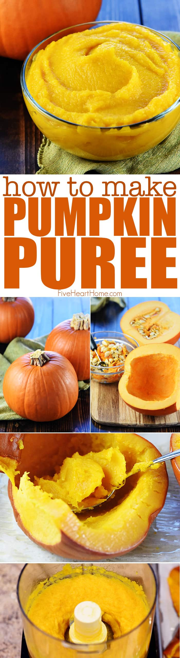 Pumpkin Puree Recipes Healthy
 EASY Homemade Pumpkin Puree • FIVEheartHOME