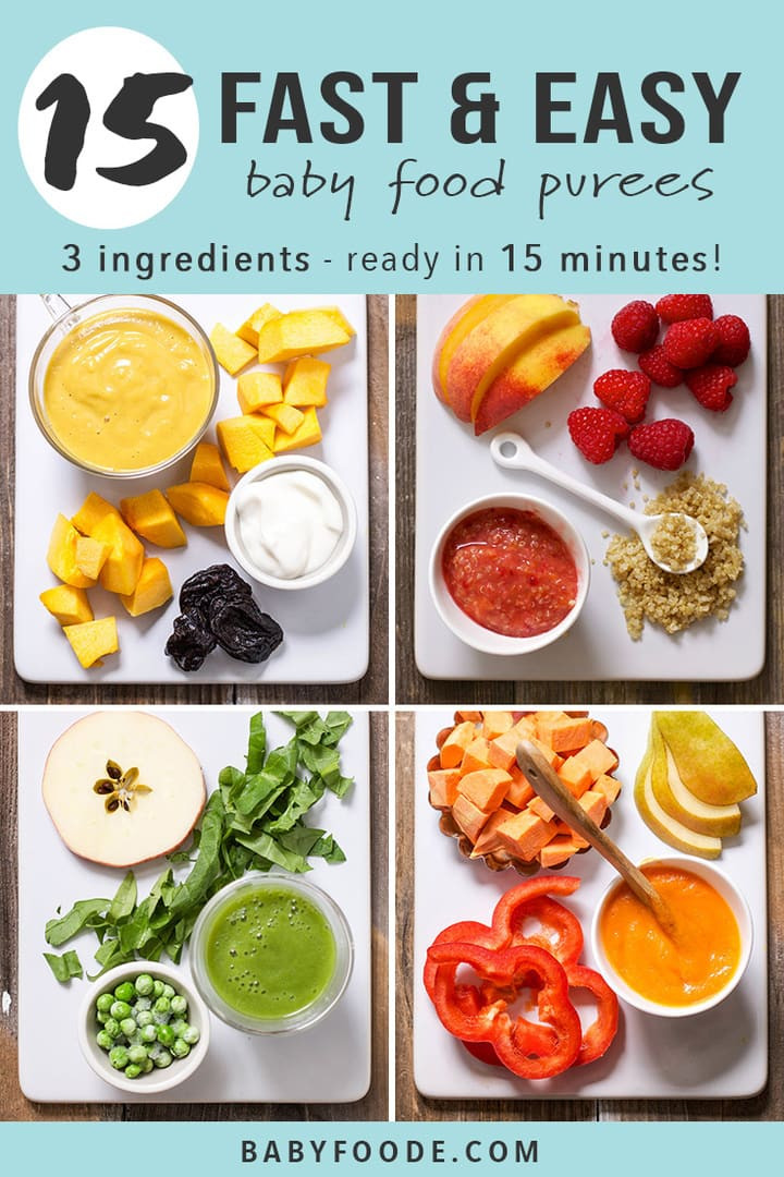 Pureeing Baby Food Recipes
 15 Fast Baby Food Recipes made in under 15 minutes