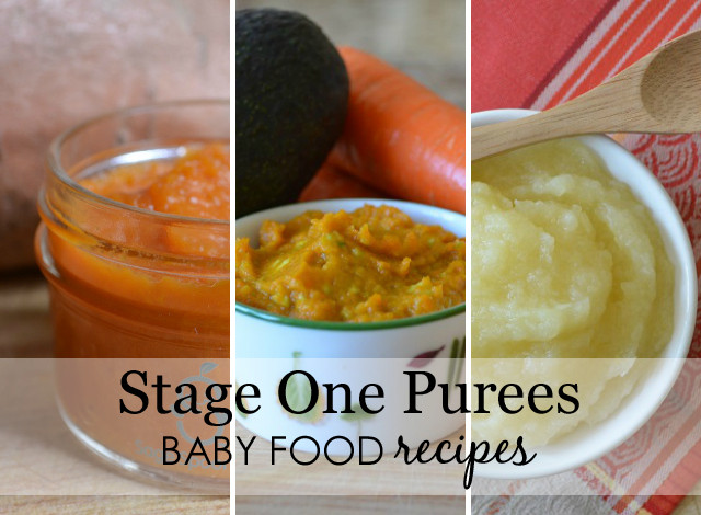 Pureeing Baby Food Recipes
 Easy Peasy Stage e Baby Food Puree Recipes Project Nursery