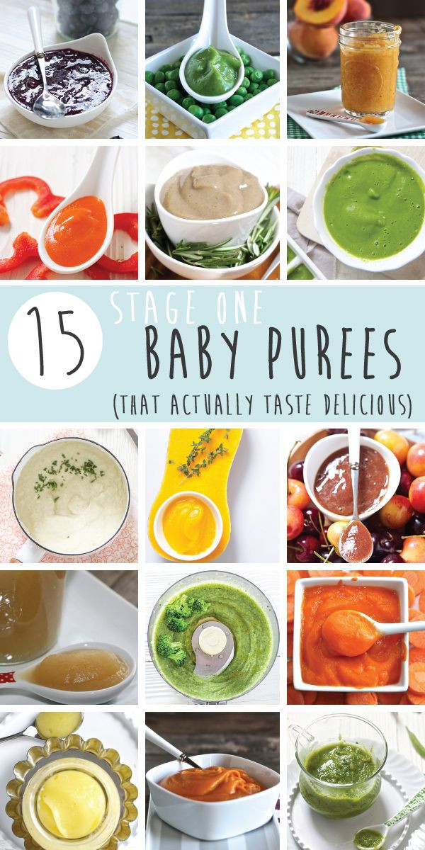 Pureeing Baby Food Recipes
 15 Stage e Baby Food Purees 4 6 Months