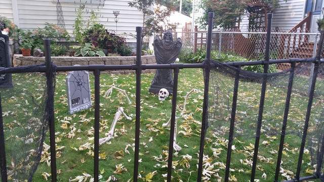 Pvc Halloween Fence
 PVC Pipe Halloween Fence
